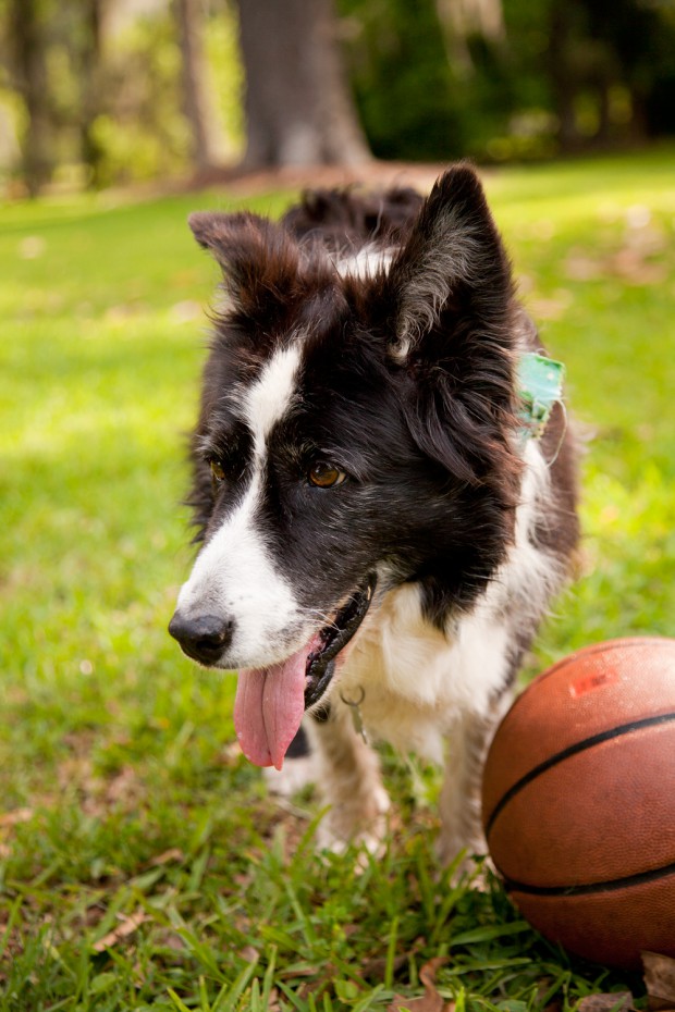 She-loves-the-basketball-too