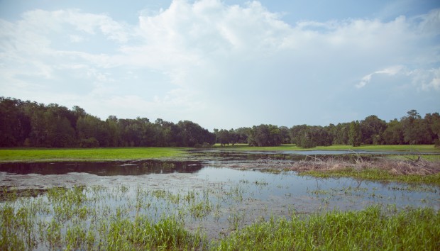 Fair Oaks Florida Ranch – Summer of 2012