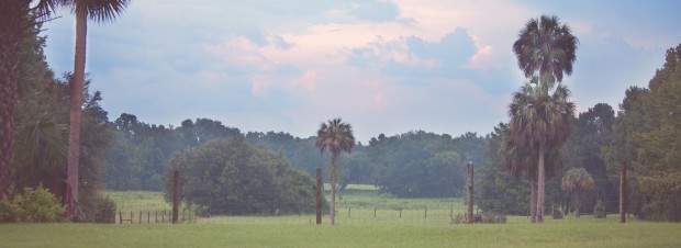 Summer at Fair Oaks Ranch in Evinston FL 2013 – 03