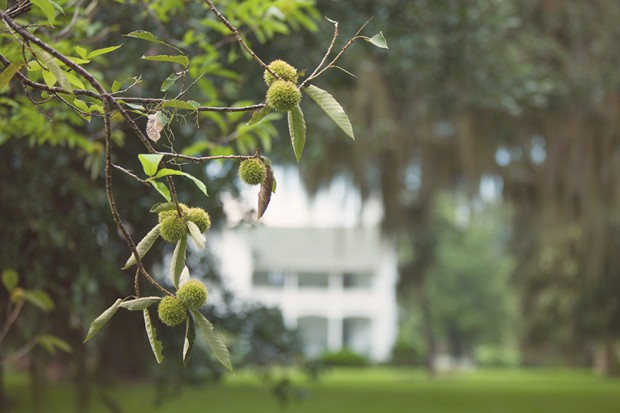 Summer at Fair Oaks Ranch in Evinston FL 2013 – 18